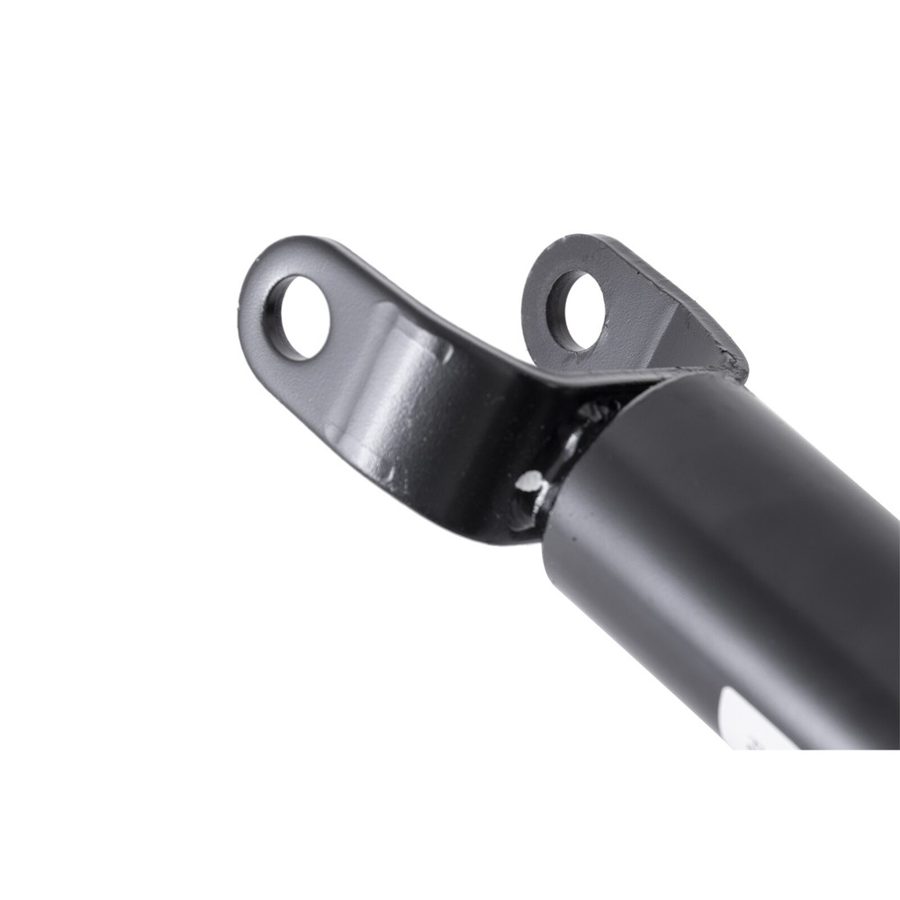 Pair Front Complete Struts Assembly Shocks For Dodge Ram 1500 4WD 2006 2007 2008