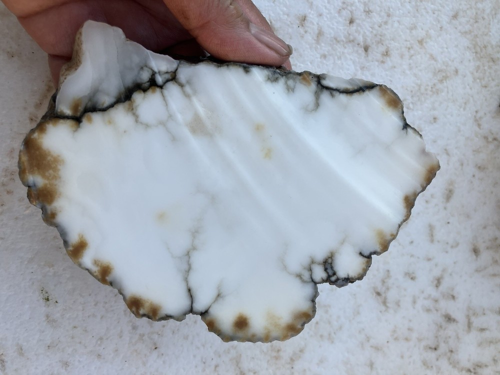 Howlite Slab