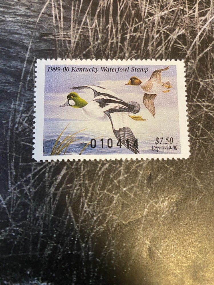 1999 Kentucky State Duck Stamp,