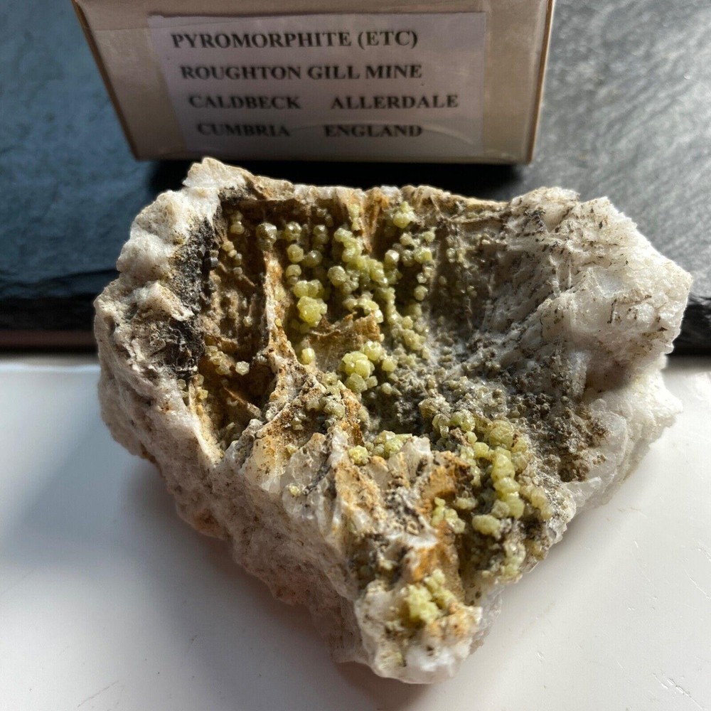 PYROMORPHITE ON SOLID QUARTZ FROM ROUGHTON GILL MINE. 66g MF1146