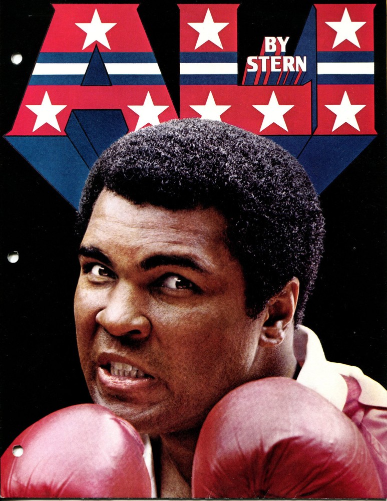 Ali Stern Pinball -  Flyer / Brochure / Ad