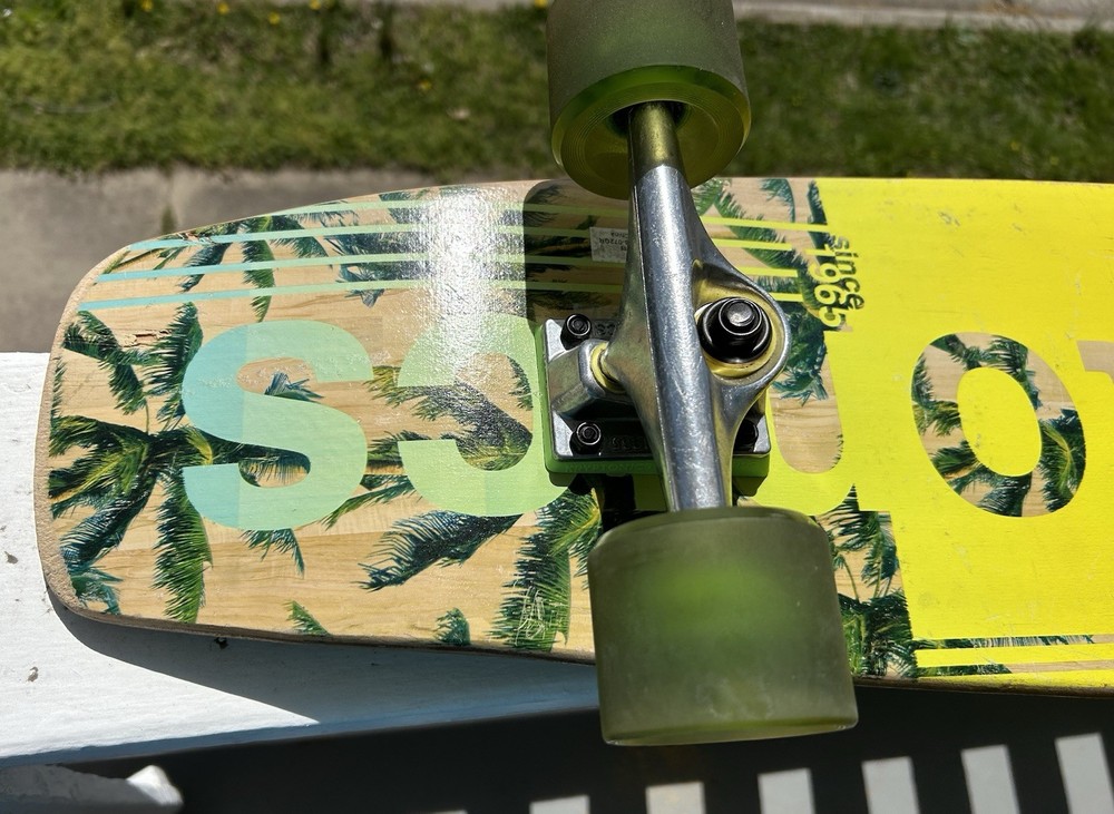 KRYPTONICS Skateboard Sun & Palm Trees 36" Complete Longboard