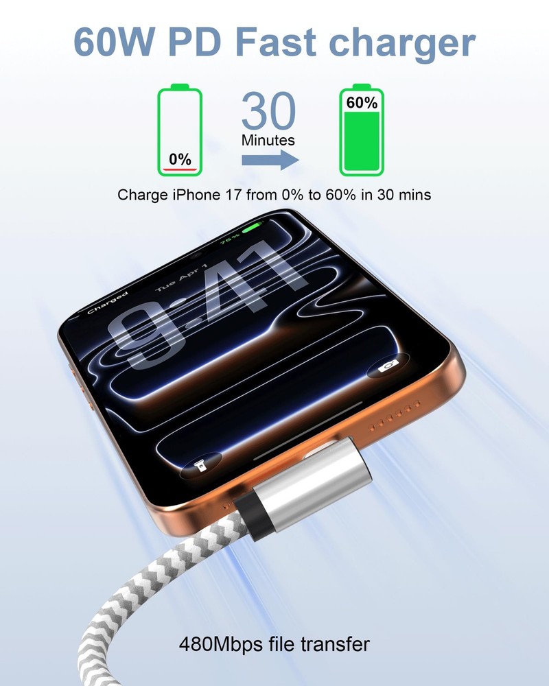 2Pack 10ft USB C to C Cable 60W, Long Type C C Fast 10FT, Silver