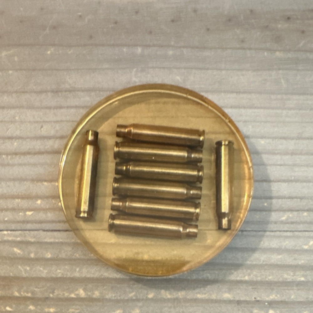 Coaster/Paperweight