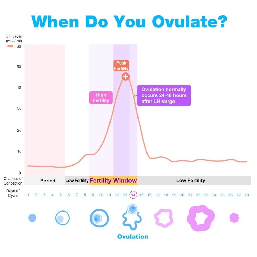 Easy@Home Ovulation Test Strips, 25 Pack Fertility Tests, Ovulation Predictor