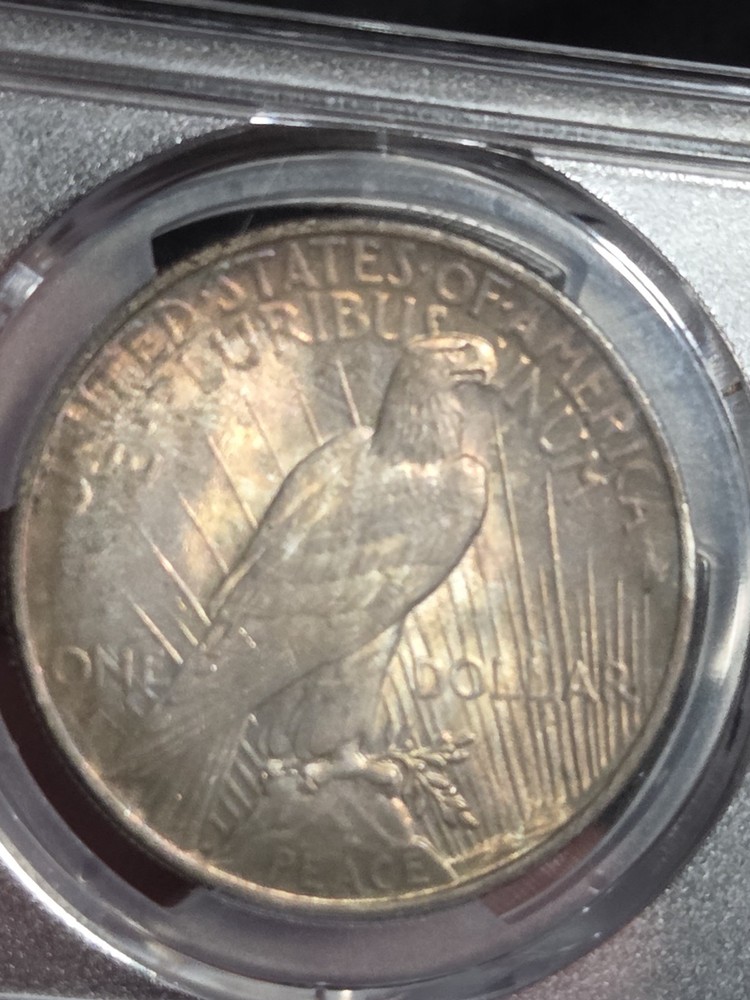 1924 $1 Peace Dollar PCGS MS64 Toned