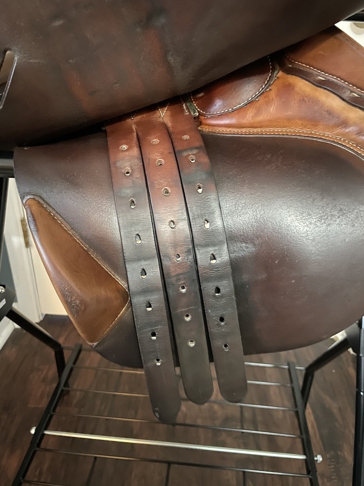 Butet Close Contact Saddle 17” - Needs Some TLC