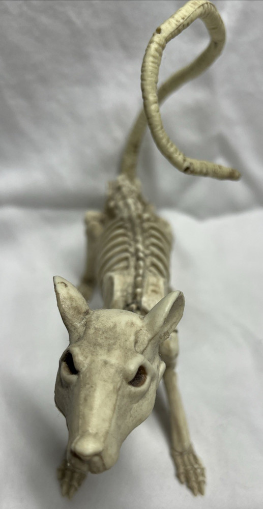 Halloween Decoration Prop Rat Skeleton Plastic Posable Tail Head Turns Jaw Opens