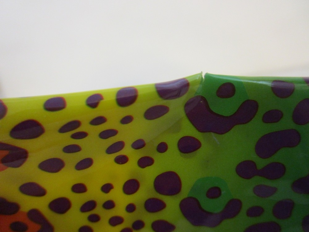Lisa Frank Plastic Leopard Pencil Pouch
