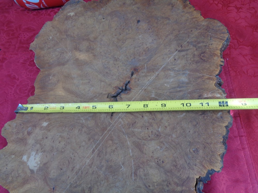 Burlwood Tree Slice #7