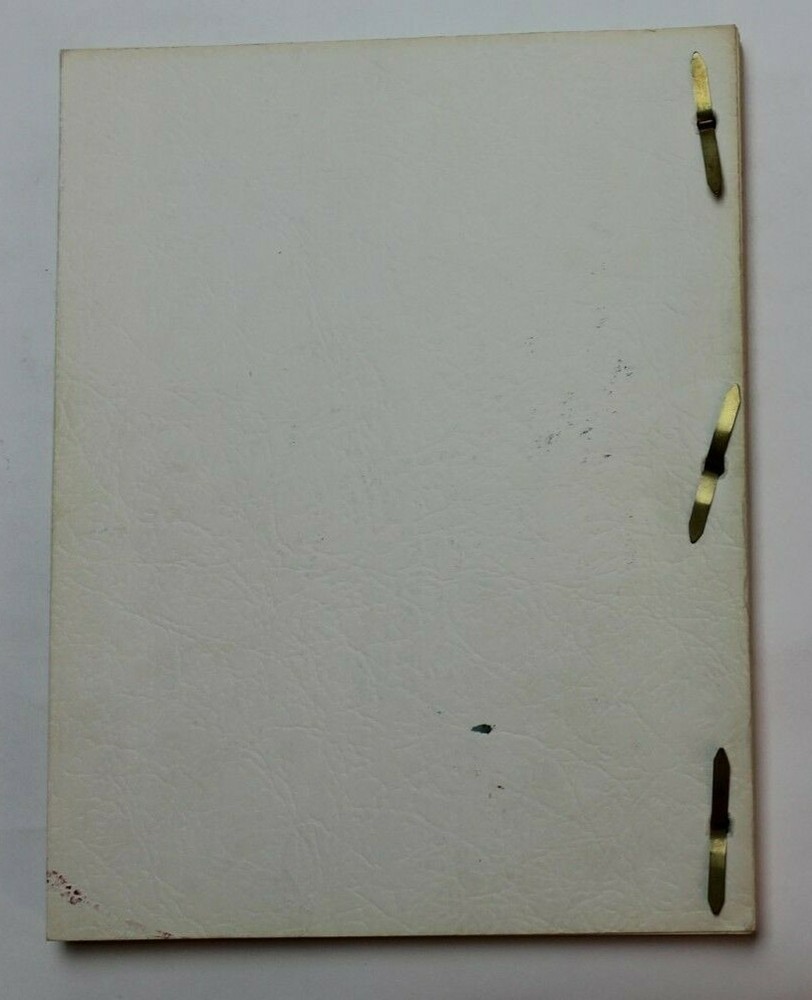 DUNGEONS & DEVILS / William Richert 1980's Unproduced Screenplay, Introvision