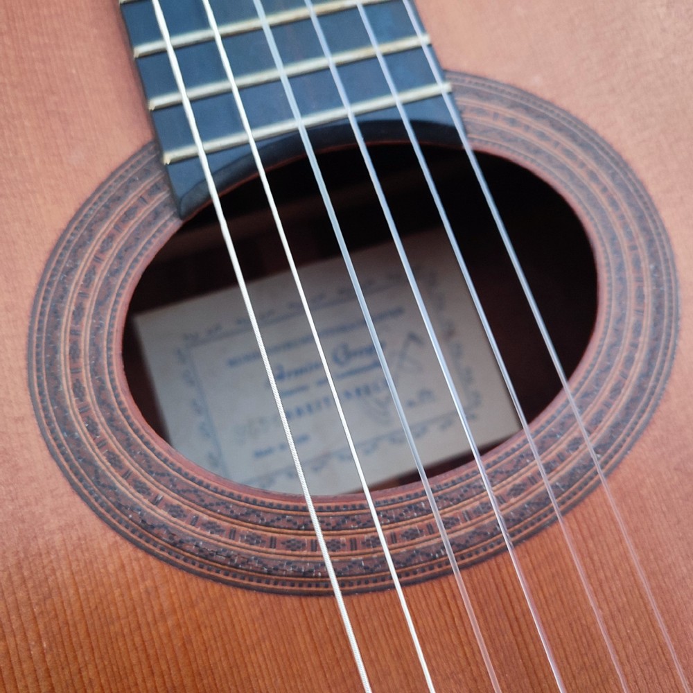 Armin Gropp Master gitár