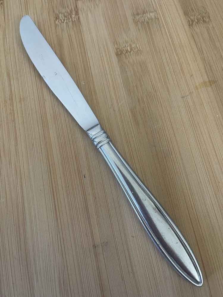 Reed & Barton Select Stainless CELEBRATION Outlined Pointed Tip DINNER KNIFE 9”