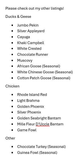 6 Cayuga Duck Hatching Eggs