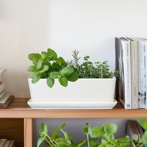 Rectangular Planter - 10 Inch Ceramic Pots for Plants with Drainage Hole and