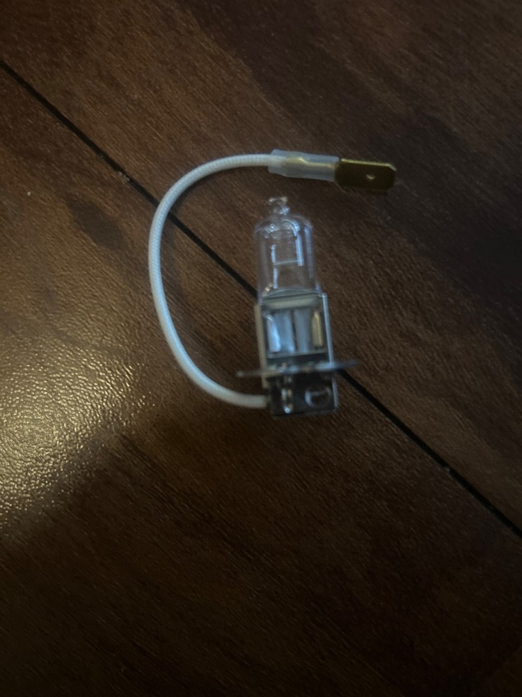 H3-55 bulb