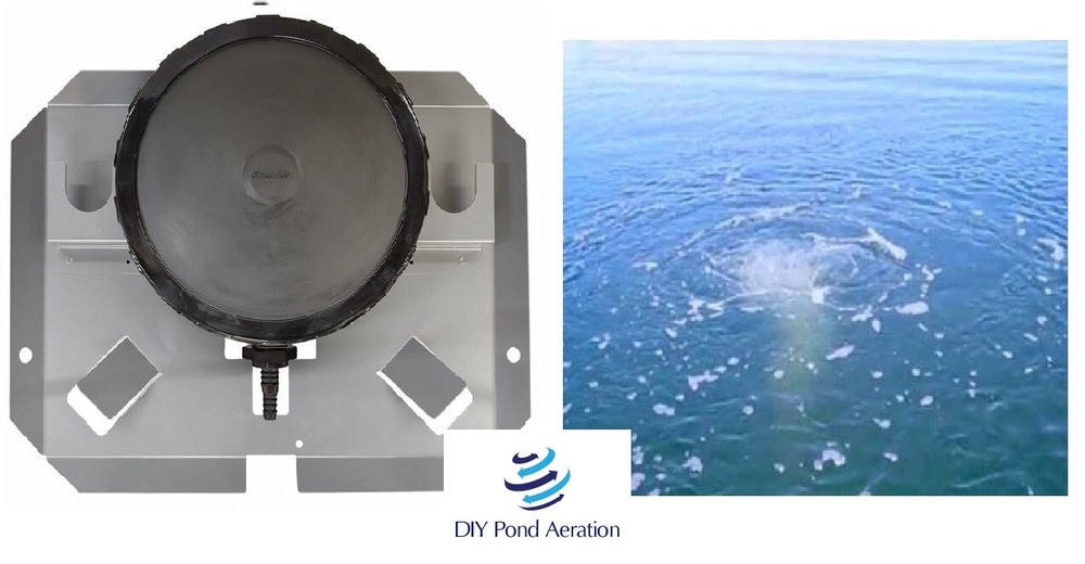 NEW 10" Membrane EPDM Disc Diffuser Aeration in Single / Double + Sinking Base!