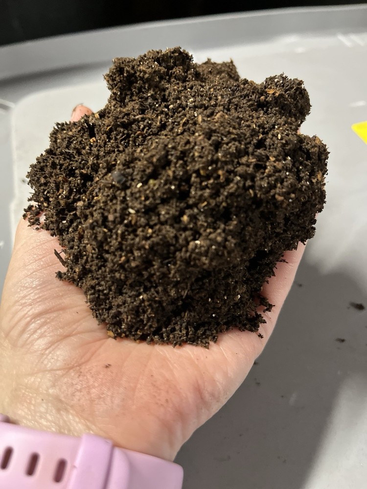 Worm Castings