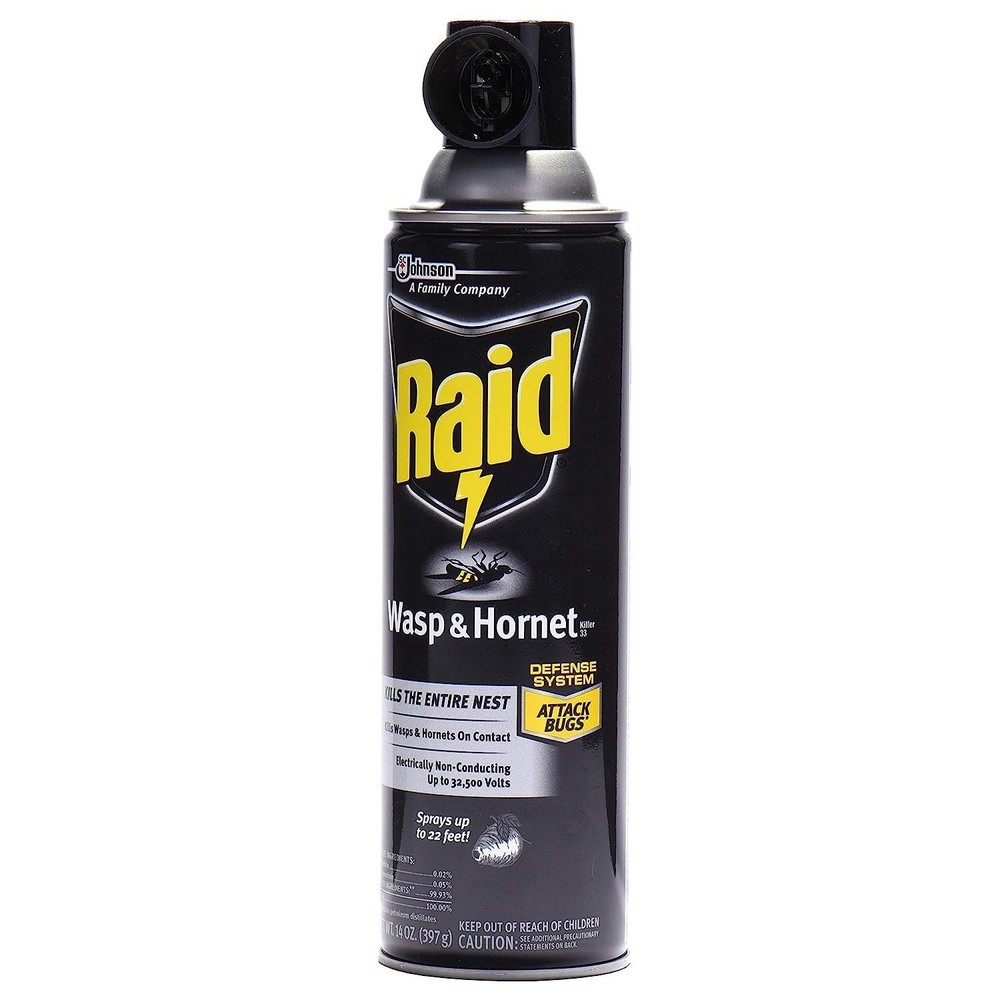 Raid Wasp Hornet Killer Spray (14 Ounce (Pack of 1)
