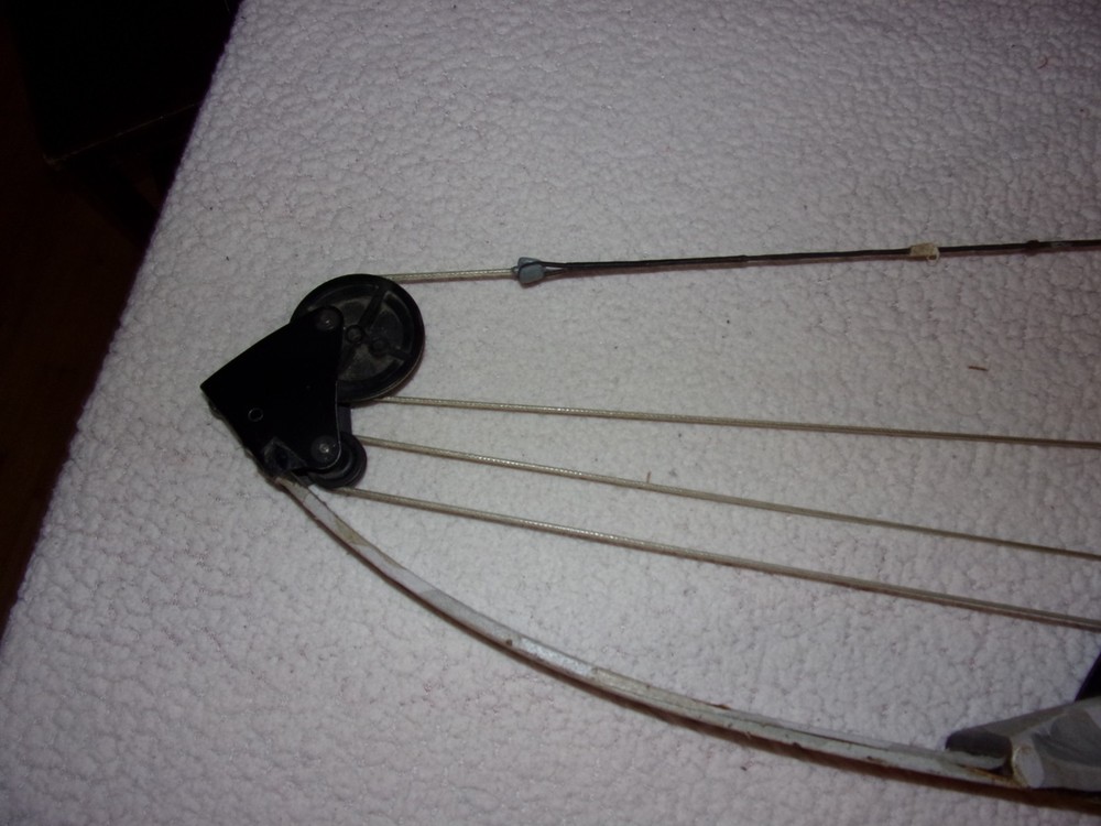 zVintage Bear Whitetail Hunter Compound Bow