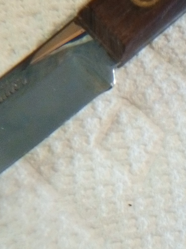 Royal Sharpcutter Paring Knife