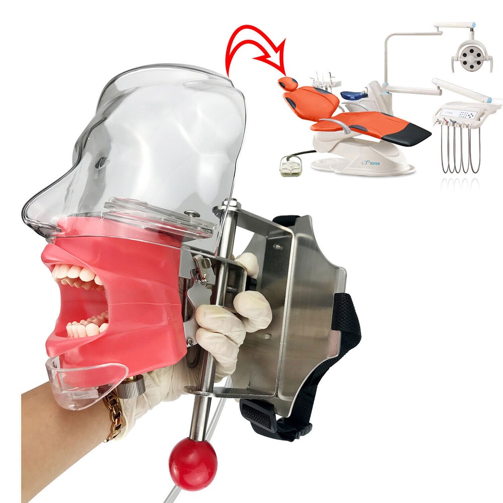 Dental Simulator Manikin Phantom Head Training Model Fix on Chair Unit Headrest