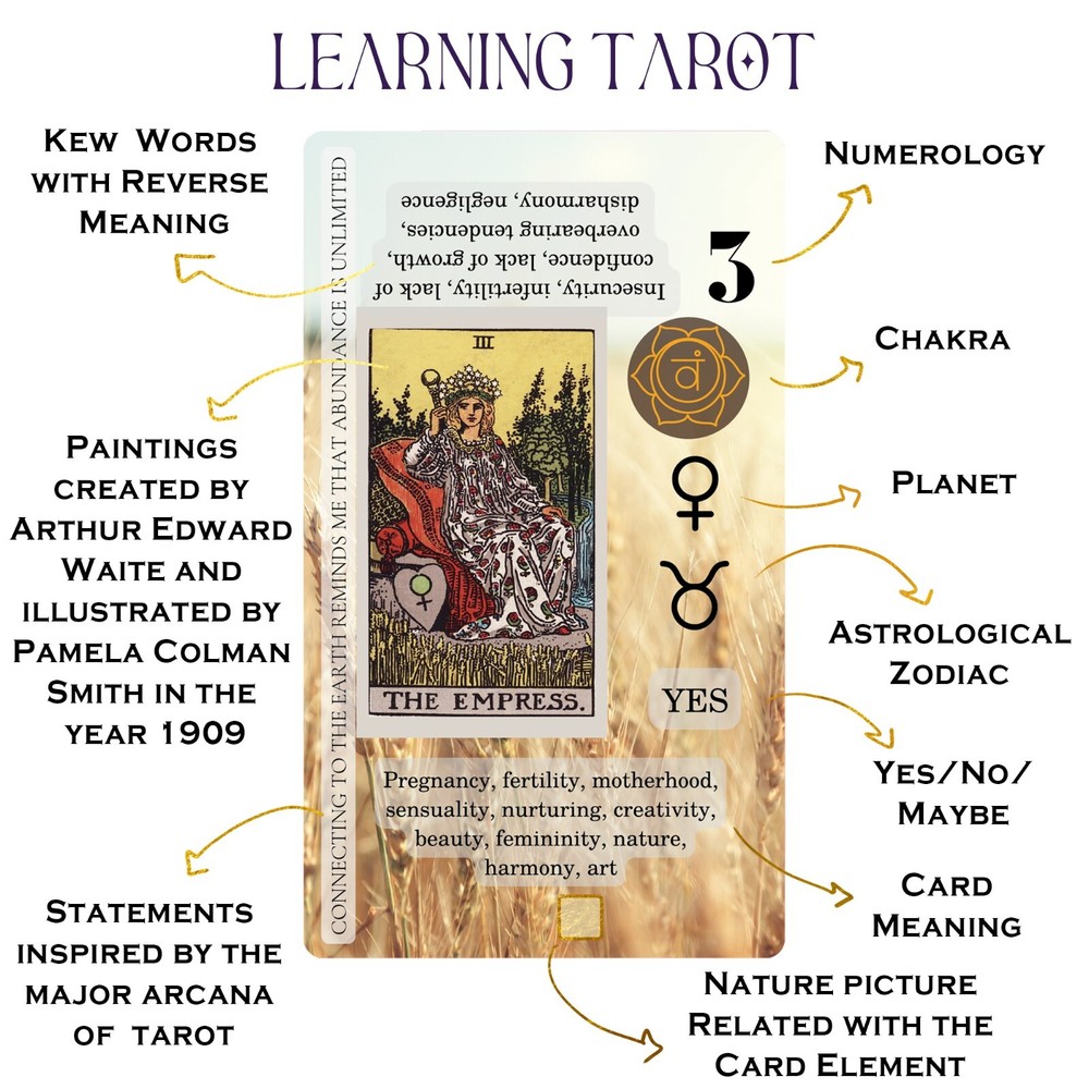 Witchy Cauldron Learning Tarot Cards with Meanings on Them, for Beginners