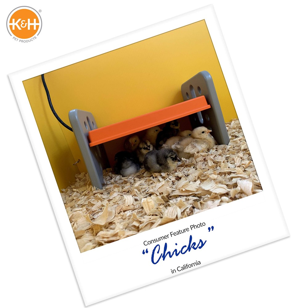 Chicken Brooder Heater for Chicks Ducklings, Adjustable Heating Plate for Bro...