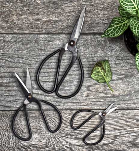 Big Hand 4, 6, 8" Bonsai Scissors, Multi Function *Famous Chinese Scissors*