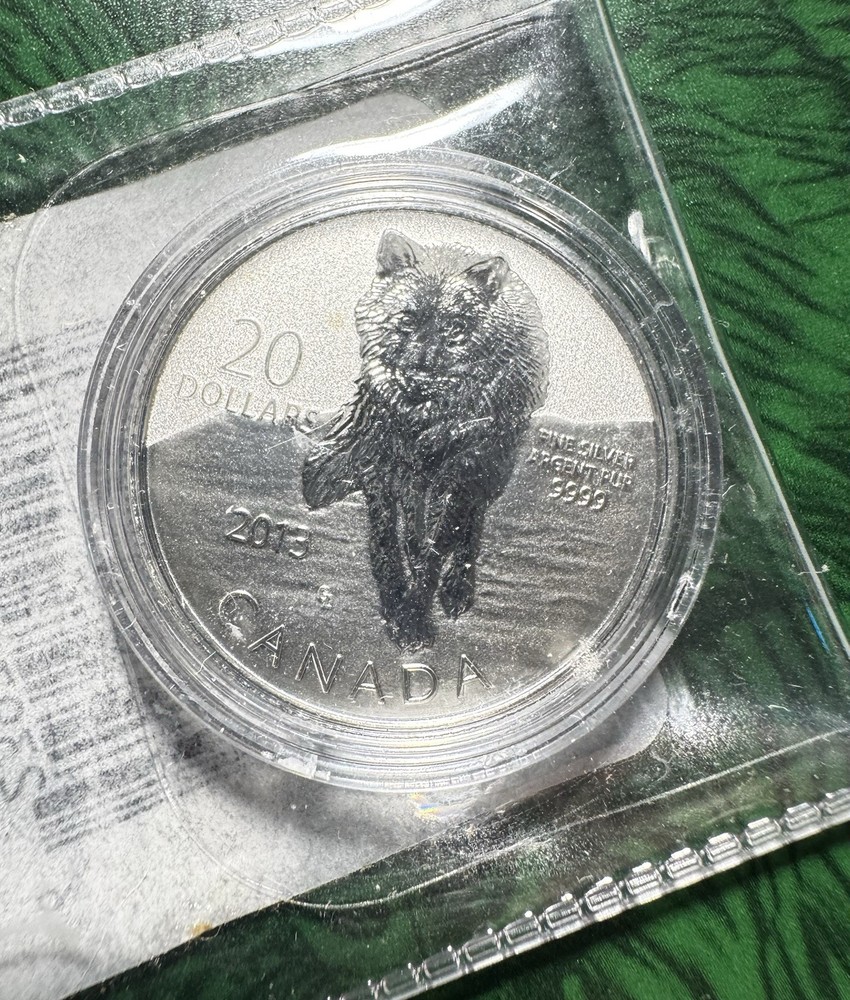 2013 Canada 20 Dollars - Elizabeth II Silver Coin