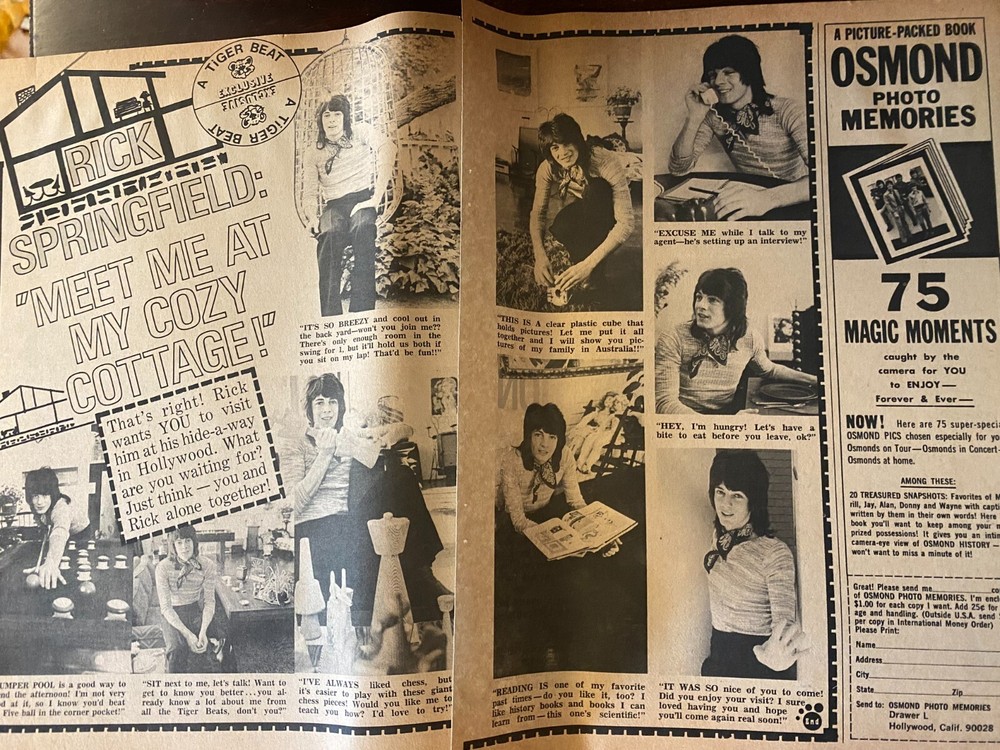 Rick Springfield, Two Page Vintage Clipping, aa