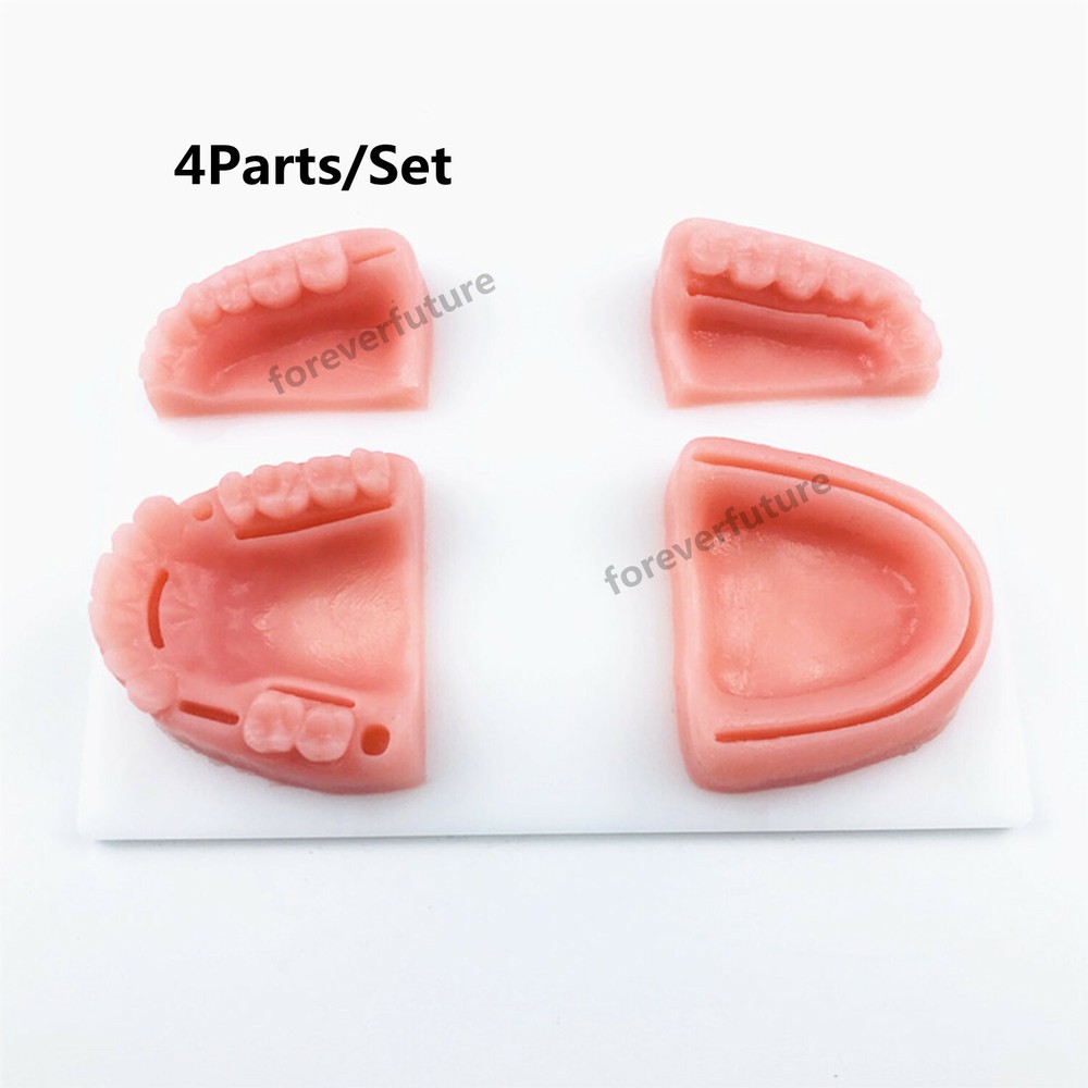 Dental Simulation Suture Model Gum Teaching Training Sutures Dentist Practise