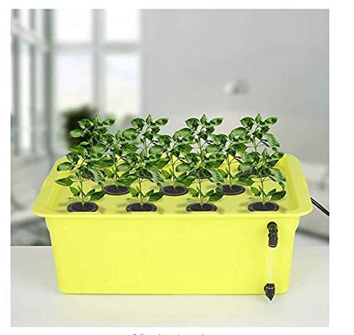 50 Pack Cloning Collars Inserts Premium Grade Foam, Cloner Collars, Better Th...