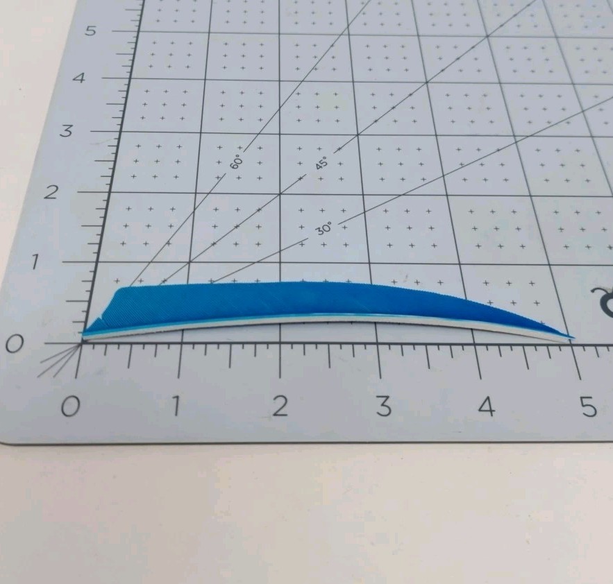 100 Pack Archery Arrow Feathers 5" Right Wing: Shield Turquoise Blue