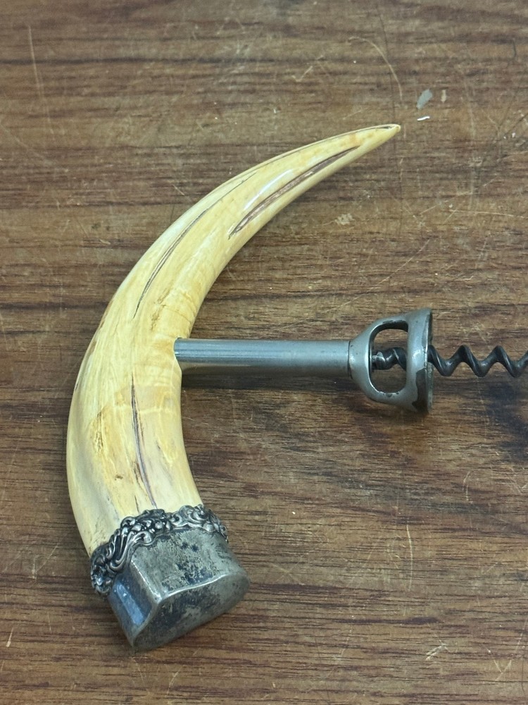 Antique Boar's Tusk Corkscrew with Sterling Silver Cap
