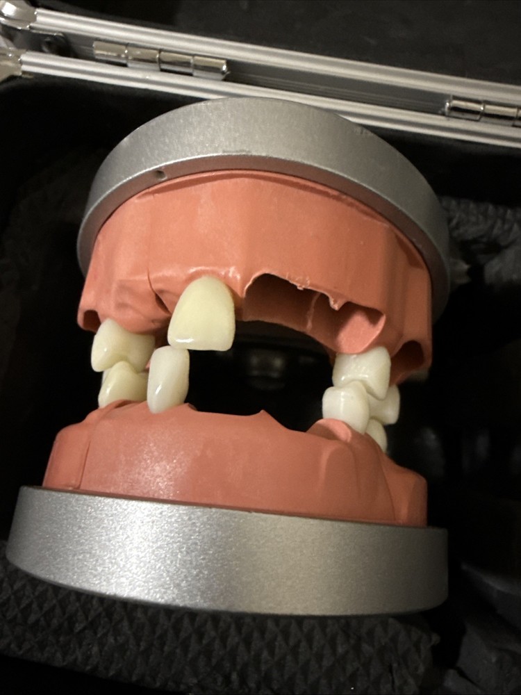 Acadental Modular Pro Endo Kit