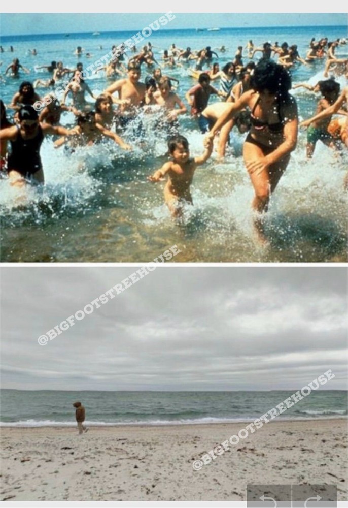 Jaws Movie Memorabilia Original Kintner Boy Shark Attack Sample