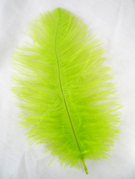 Lime Mini Ostrich Feathers 5-8 Inch per 24