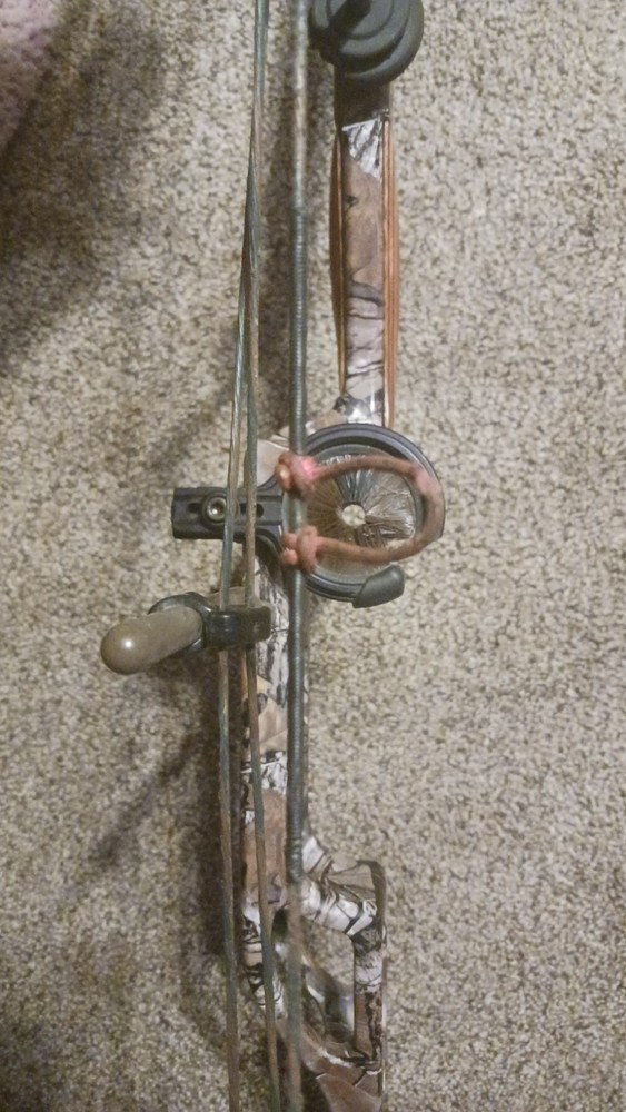 elite compound bow right hand