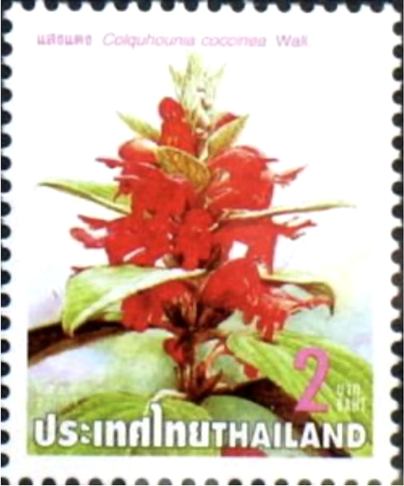 Thailand #Mi2113 MNH 2001 Colquhounia Coccinea [2005]