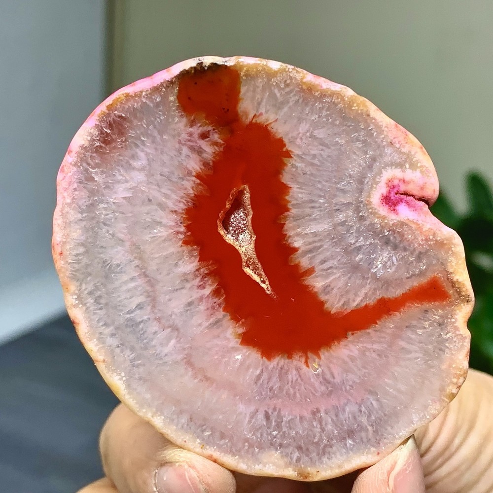 42G Natural Beautiful Agate Geode Druzy Slice Extra Large Gemstone