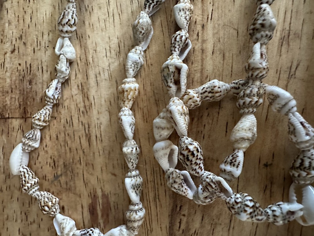 Vintage Long Natural Small Shells Necklace 34” Continuous Strand