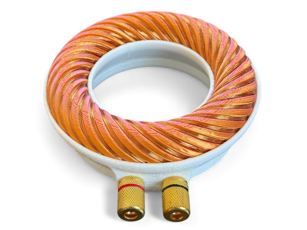Rodin coil Scalar Wave toroidal field generator module