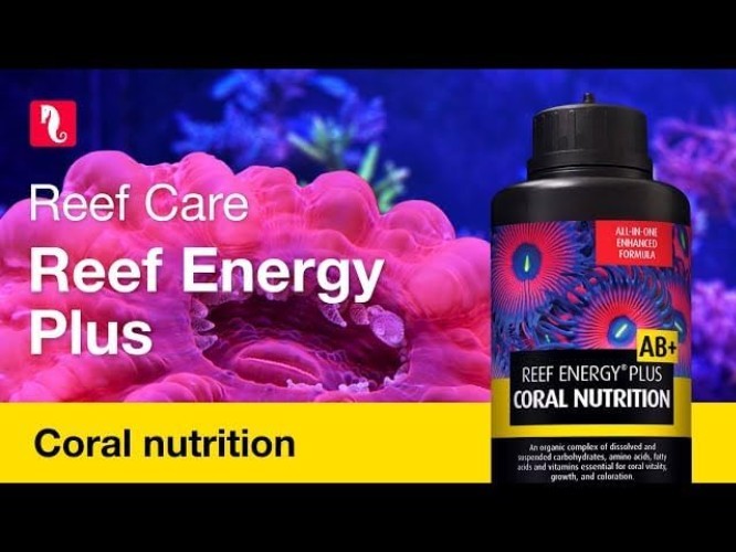 Complete Nutrition for Soft, LPS, SPS Corals