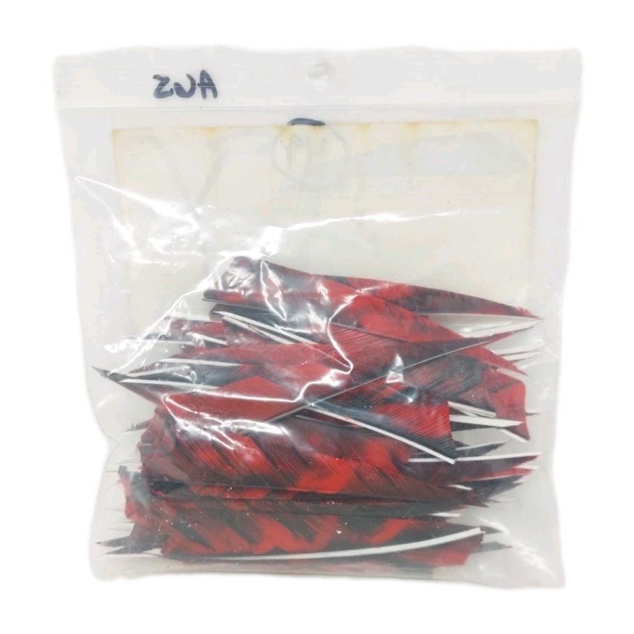 49 Count Gateway Archery Arrow Feathers 4" Right Wing Shield: Camo Tre Red