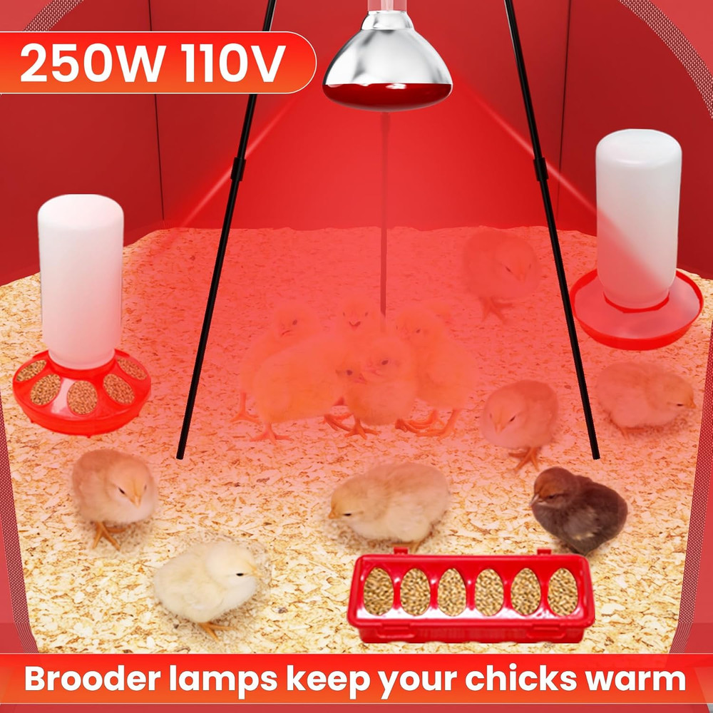 Chicks Brooder Box for Chicken Starter Kit–Includes Heat Lamp, Chick Feeder and