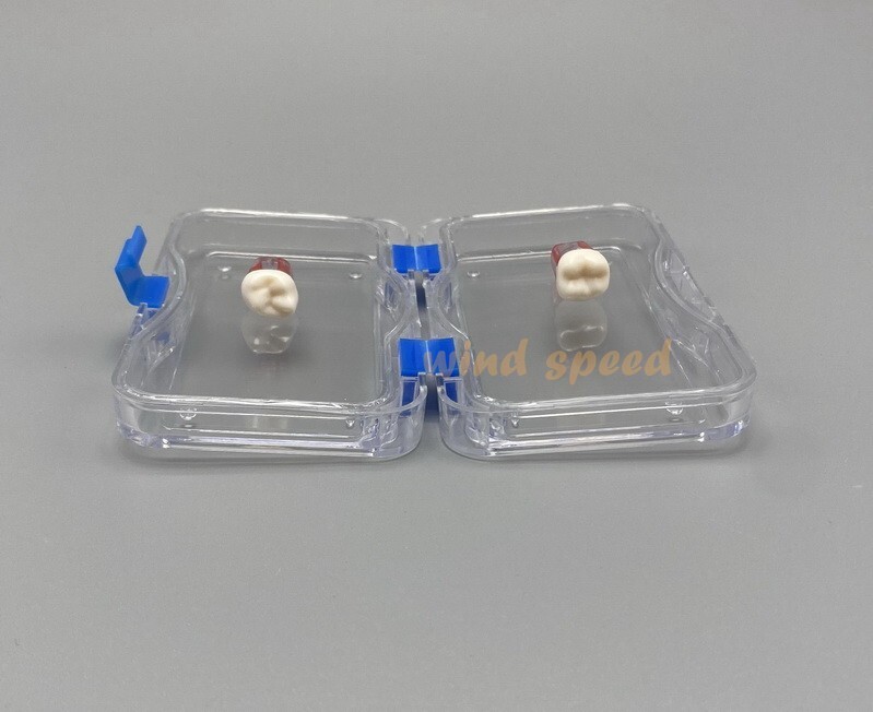 1 Pc Denture False Teeth Membrane Container Hinged Display Box Jewelry Retainer