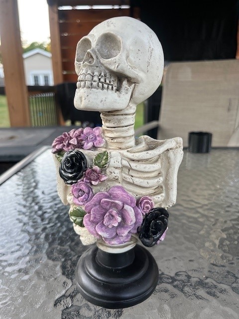 9 inch Skeleton Skull Figurine Statue