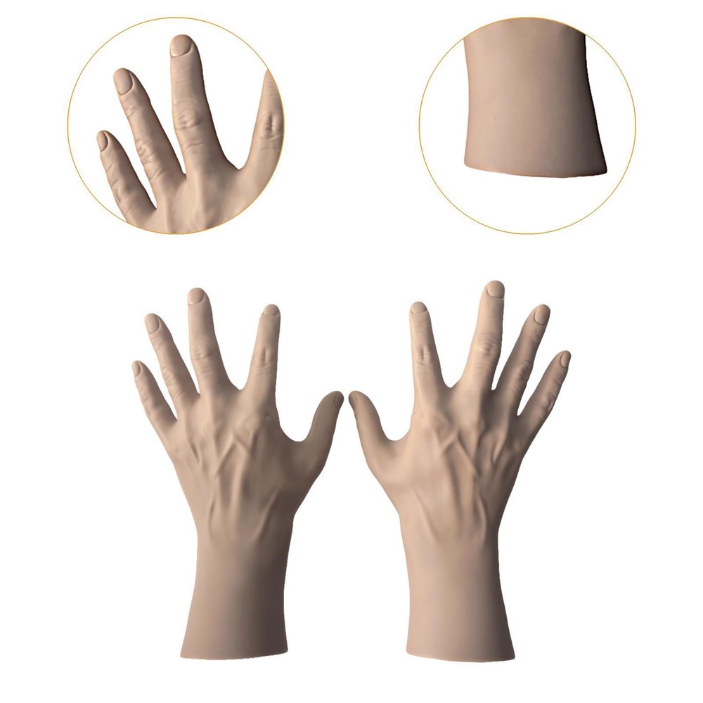 Male Hand Model Left and Right Human Hand 2Pcs