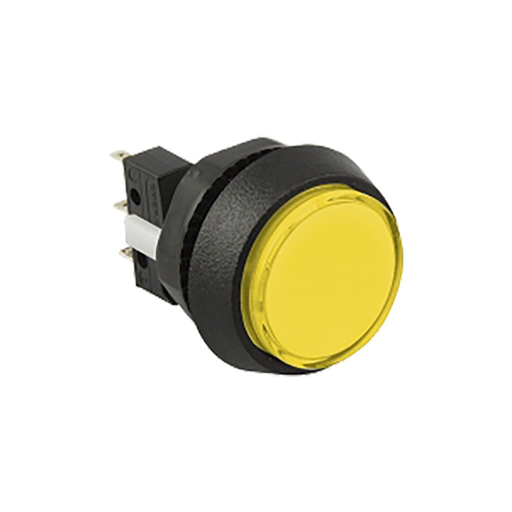 Pushbutton Round Small Illuminated with Microswitch - 75V-0004